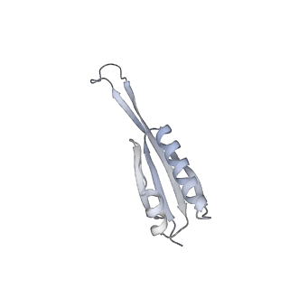 36332_8jiw_BU_v1-0
Atomic structure of wheat ribosome reveals unique features of the plant ribosomes