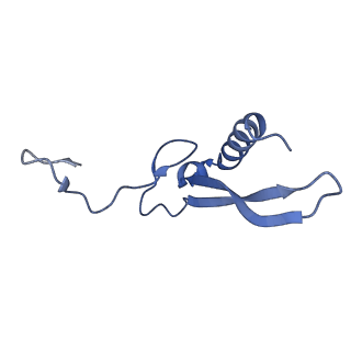 36332_8jiw_BV_v1-0
Atomic structure of wheat ribosome reveals unique features of the plant ribosomes