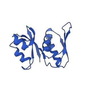 36332_8jiw_BW_v1-0
Atomic structure of wheat ribosome reveals unique features of the plant ribosomes