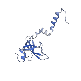 36332_8jiw_BX_v1-0
Atomic structure of wheat ribosome reveals unique features of the plant ribosomes