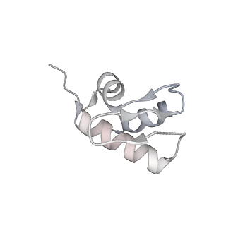 36332_8jiw_BZ_v1-0
Atomic structure of wheat ribosome reveals unique features of the plant ribosomes