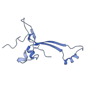 36332_8jiw_Ba_v1-0
Atomic structure of wheat ribosome reveals unique features of the plant ribosomes