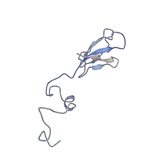 36332_8jiw_Bb_v1-0
Atomic structure of wheat ribosome reveals unique features of the plant ribosomes