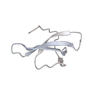 36332_8jiw_Bc_v1-0
Atomic structure of wheat ribosome reveals unique features of the plant ribosomes