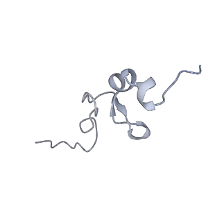 36332_8jiw_Bd_v1-0
Atomic structure of wheat ribosome reveals unique features of the plant ribosomes