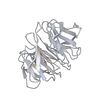 36332_8jiw_Bg_v1-0
Atomic structure of wheat ribosome reveals unique features of the plant ribosomes