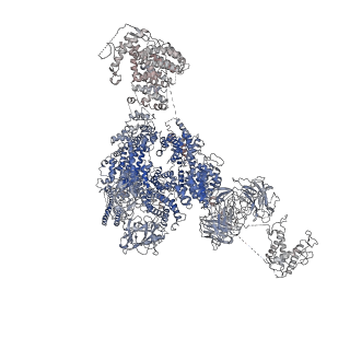 9831_6ji0_A_v1-3
Structure of RyR2 (F/A/C/Ca2+ dataset)