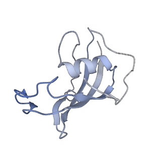 9831_6ji0_B_v1-3
Structure of RyR2 (F/A/C/Ca2+ dataset)