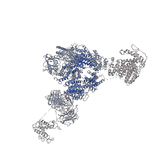 9831_6ji0_C_v1-3
Structure of RyR2 (F/A/C/Ca2+ dataset)