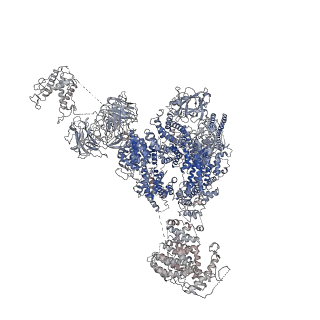 9831_6ji0_E_v1-3
Structure of RyR2 (F/A/C/Ca2+ dataset)