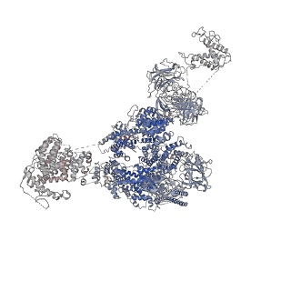 9831_6ji0_G_v1-3
Structure of RyR2 (F/A/C/Ca2+ dataset)