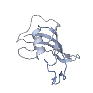 9831_6ji0_H_v1-3
Structure of RyR2 (F/A/C/Ca2+ dataset)