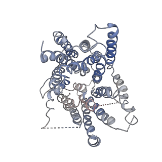 9832_6ji1_A_v1-2
Tetrameric PepTSo2 incorporated in salipro nano particle