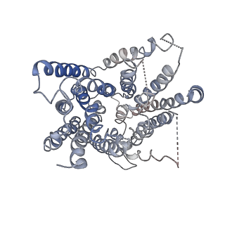 9832_6ji1_B_v1-2
Tetrameric PepTSo2 incorporated in salipro nano particle