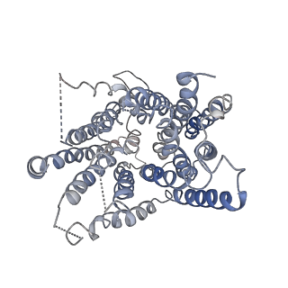 9832_6ji1_C_v1-2
Tetrameric PepTSo2 incorporated in salipro nano particle