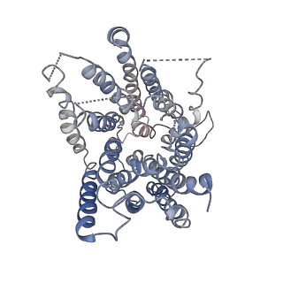 9832_6ji1_D_v1-2
Tetrameric PepTSo2 incorporated in salipro nano particle