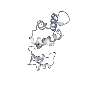 9833_6ji8_C_v1-3
Structure of RyR2 (F/apoCaM dataset)