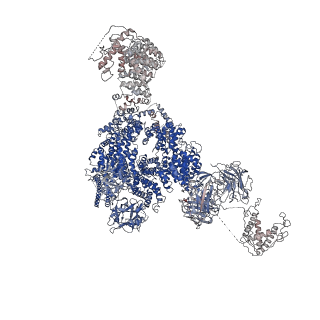 9833_6ji8_D_v1-2
Structure of RyR2 (F/apoCaM dataset)