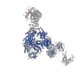 9833_6ji8_D_v1-3
Structure of RyR2 (F/apoCaM dataset)