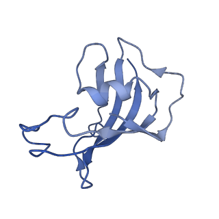 9833_6ji8_E_v1-3
Structure of RyR2 (F/apoCaM dataset)