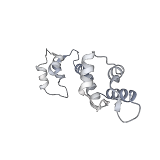 9833_6ji8_F_v1-3
Structure of RyR2 (F/apoCaM dataset)