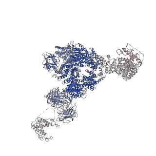 9833_6ji8_G_v1-2
Structure of RyR2 (F/apoCaM dataset)