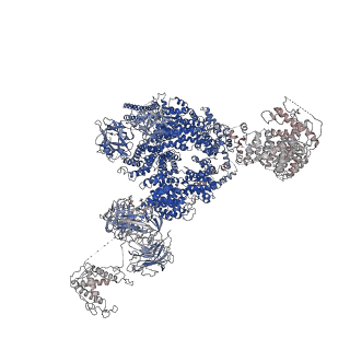 9833_6ji8_G_v1-3
Structure of RyR2 (F/apoCaM dataset)