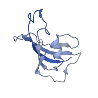 9833_6ji8_H_v1-3
Structure of RyR2 (F/apoCaM dataset)