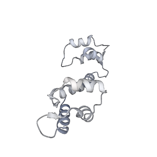 9833_6ji8_I_v1-3
Structure of RyR2 (F/apoCaM dataset)