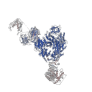 9833_6ji8_J_v1-2
Structure of RyR2 (F/apoCaM dataset)