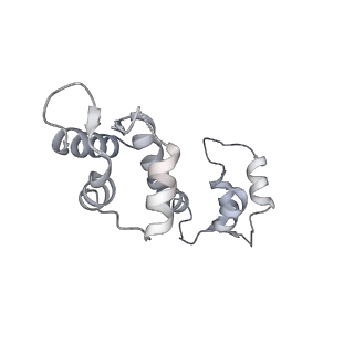 9833_6ji8_L_v1-3
Structure of RyR2 (F/apoCaM dataset)