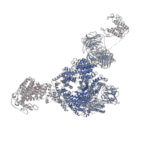 9834_6jii_B_v1-3
Structure of RyR2 (F/A/C/L-Ca2+/apo-CaM-M dataset)