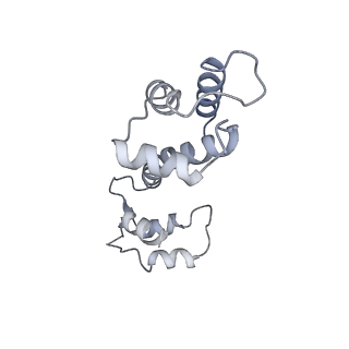 9834_6jii_C_v1-3
Structure of RyR2 (F/A/C/L-Ca2+/apo-CaM-M dataset)