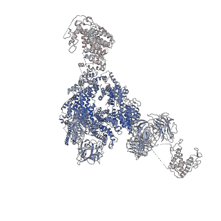 9834_6jii_E_v1-2
Structure of RyR2 (F/A/C/L-Ca2+/apo-CaM-M dataset)