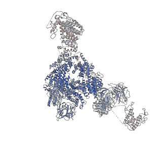 9834_6jii_E_v1-3
Structure of RyR2 (F/A/C/L-Ca2+/apo-CaM-M dataset)