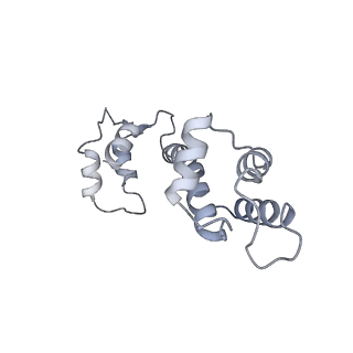 9834_6jii_F_v1-3
Structure of RyR2 (F/A/C/L-Ca2+/apo-CaM-M dataset)