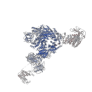 9834_6jii_H_v1-2
Structure of RyR2 (F/A/C/L-Ca2+/apo-CaM-M dataset)