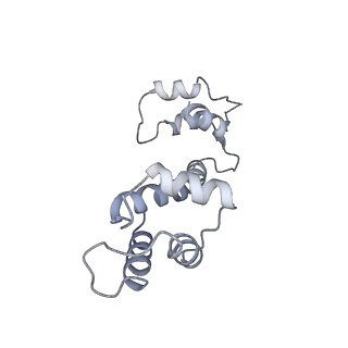 9834_6jii_I_v1-3
Structure of RyR2 (F/A/C/L-Ca2+/apo-CaM-M dataset)