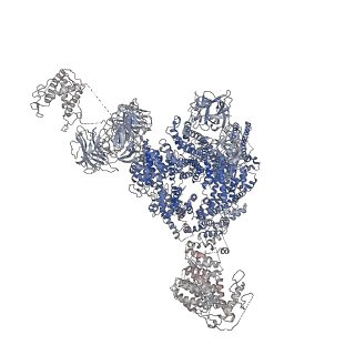 9834_6jii_K_v1-3
Structure of RyR2 (F/A/C/L-Ca2+/apo-CaM-M dataset)