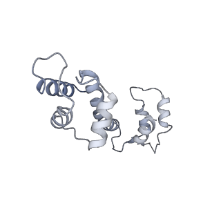 9834_6jii_L_v1-3
Structure of RyR2 (F/A/C/L-Ca2+/apo-CaM-M dataset)