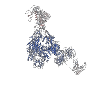 9836_6jiu_A_v1-2
Structure of RyR2 (F/A/C/L-Ca2+/Ca2+CaM dataset)