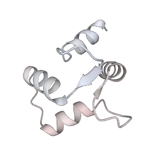 9836_6jiu_C_v1-3
Structure of RyR2 (F/A/C/L-Ca2+/Ca2+CaM dataset)