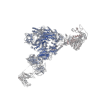 9836_6jiu_D_v1-2
Structure of RyR2 (F/A/C/L-Ca2+/Ca2+CaM dataset)