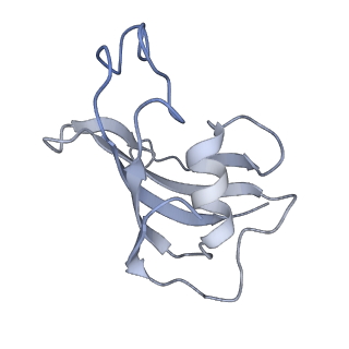 9836_6jiu_E_v1-3
Structure of RyR2 (F/A/C/L-Ca2+/Ca2+CaM dataset)