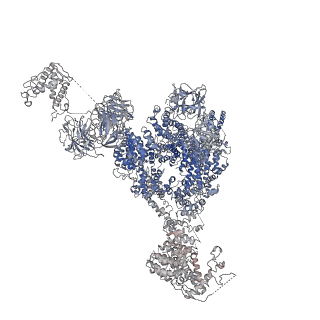 9836_6jiu_G_v1-3
Structure of RyR2 (F/A/C/L-Ca2+/Ca2+CaM dataset)