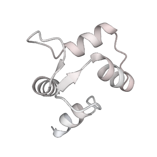 9836_6jiu_I_v1-3
Structure of RyR2 (F/A/C/L-Ca2+/Ca2+CaM dataset)