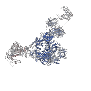 9836_6jiu_J_v1-3
Structure of RyR2 (F/A/C/L-Ca2+/Ca2+CaM dataset)