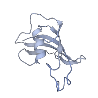 9836_6jiu_K_v1-3
Structure of RyR2 (F/A/C/L-Ca2+/Ca2+CaM dataset)