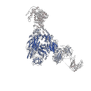 9837_6jiy_A_v1-3
Structure of RyR2 (F/A/C/H-Ca2+/Ca2+CaM dataset)