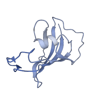 9837_6jiy_B_v1-3
Structure of RyR2 (F/A/C/H-Ca2+/Ca2+CaM dataset)